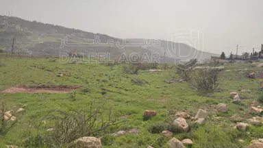 أرض في للبيع قطعة اراض في ناعور حوض عيون الجاموس - 248,520 دأ - صورة NaN